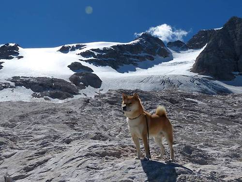 替补中场传球选择是否更激进以寻求比赛突破口,替补球员进场怎么处罚
