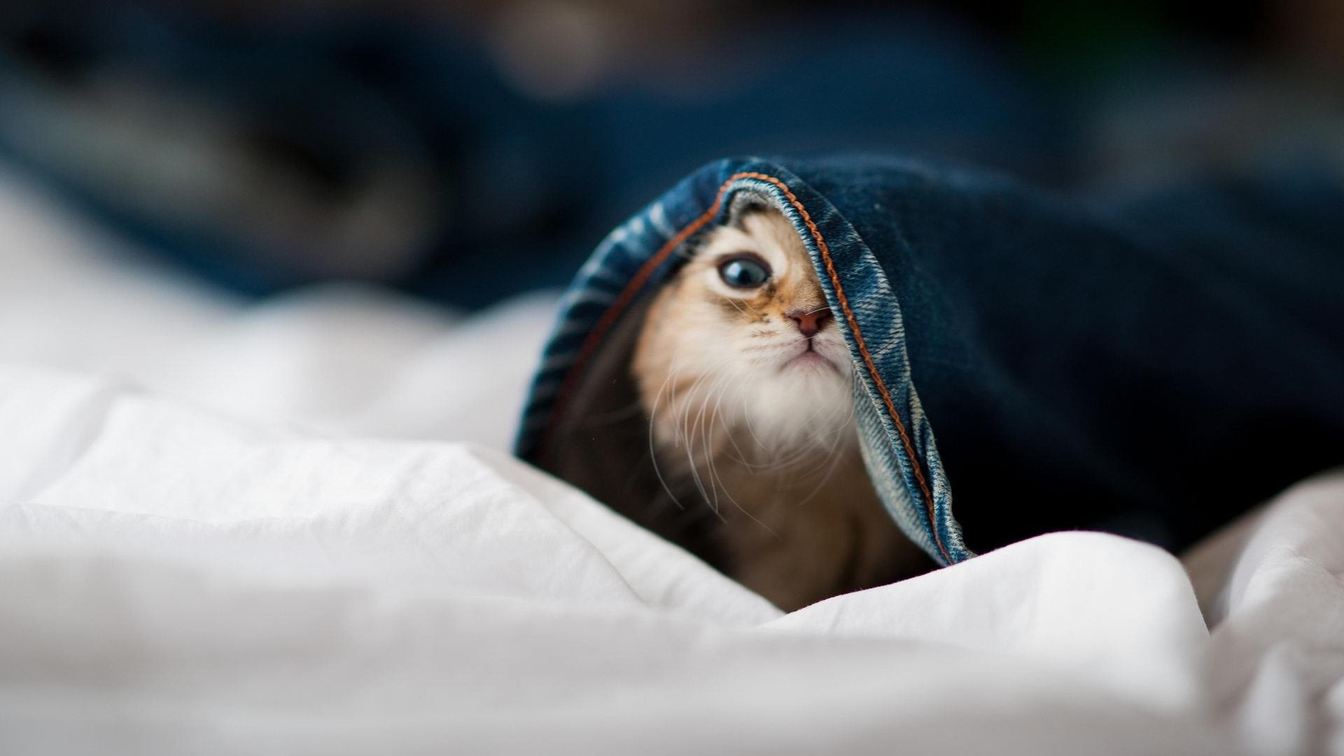 中国三人篮球男队专注攻守节奏把控，中国三人篮球男篮