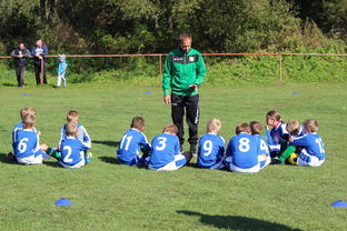 开云电竞-五大联赛核心球员缺阵时教练战术应变差异分析，五大联赛主教练工资排名